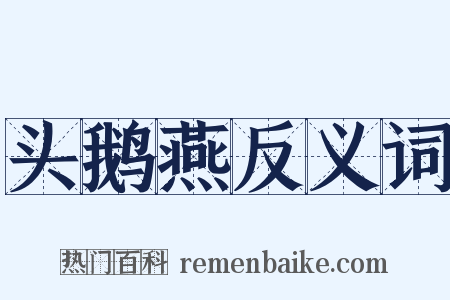 头鹅燕反义词是什么意思的图片